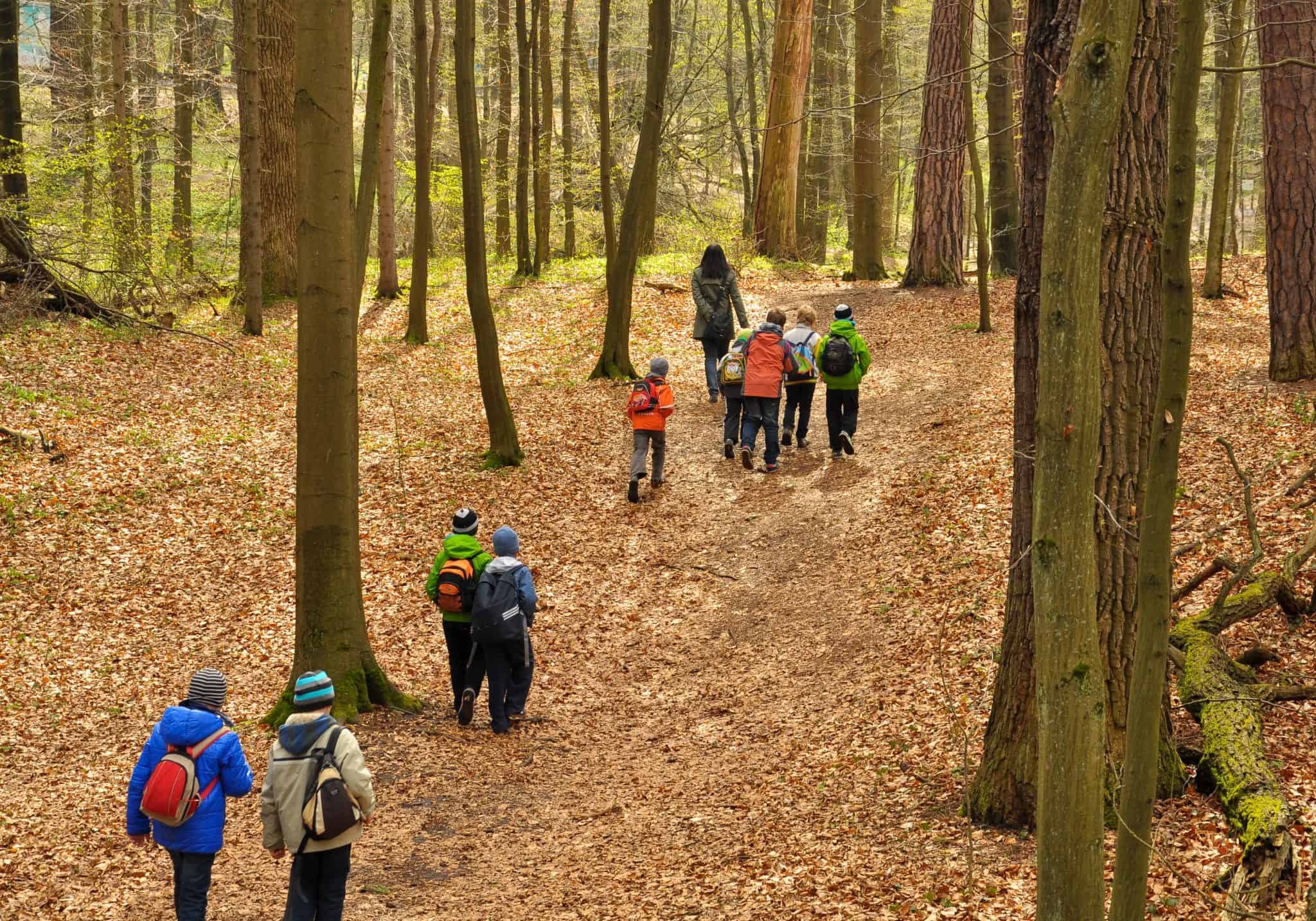 Bambini e insegnante che camminano nel bosco